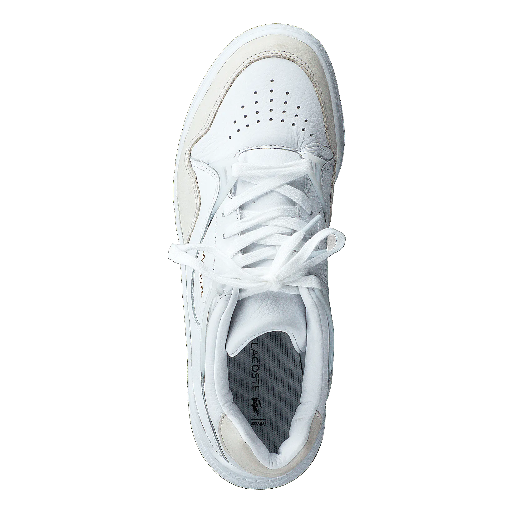 Court Slam 319 1 Sfa Wht/gum